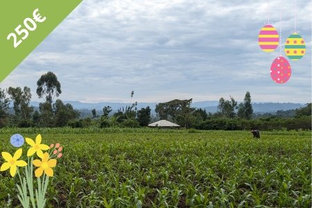 Gemüsefeld - Ostern