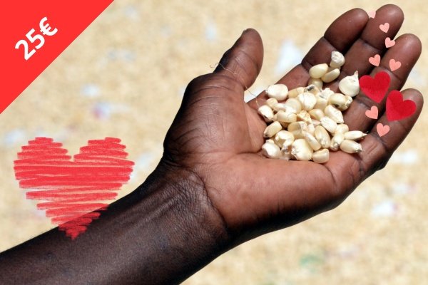 Gemüsesamen Valentinstag