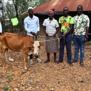 Übergabe einer Kuh als Spendengeschenk