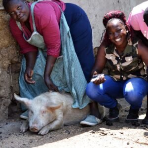 Zwei Frauen in Afrika freuen sich über ein Schwein als Spendengeschenk
